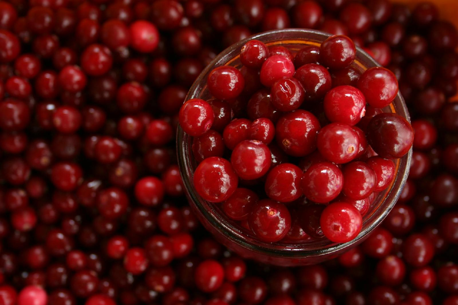 La cranberry, un fruit aux multiples bienfaits sante